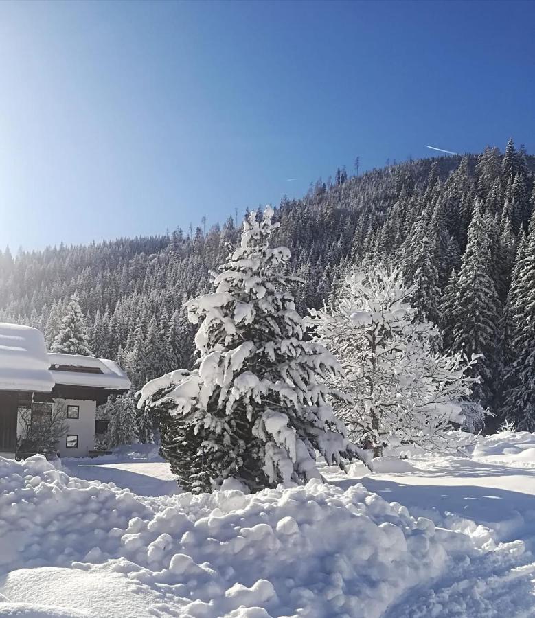 Pension Walchauhof Flachau Exterior foto