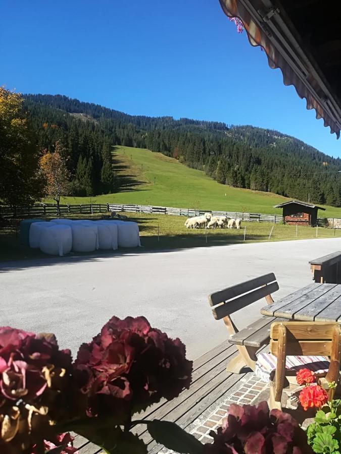 Pension Walchauhof Flachau Exterior foto