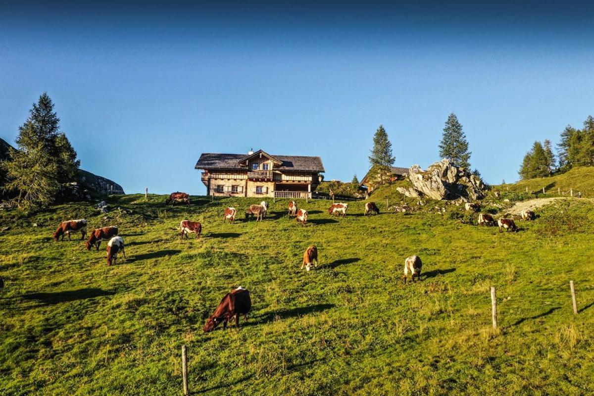 Pension Walchauhof Flachau Exterior foto