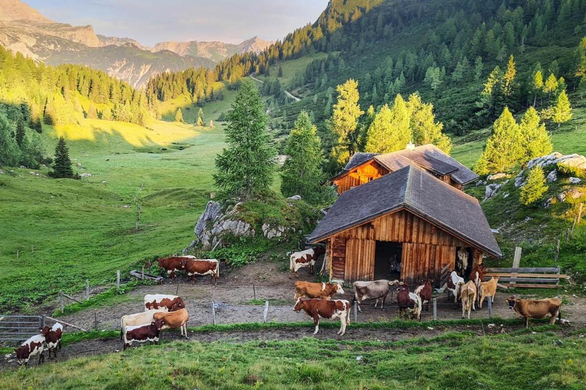 Pension Walchauhof Flachau Exterior foto
